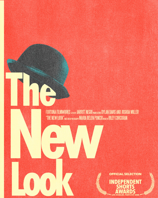 The New Look poster